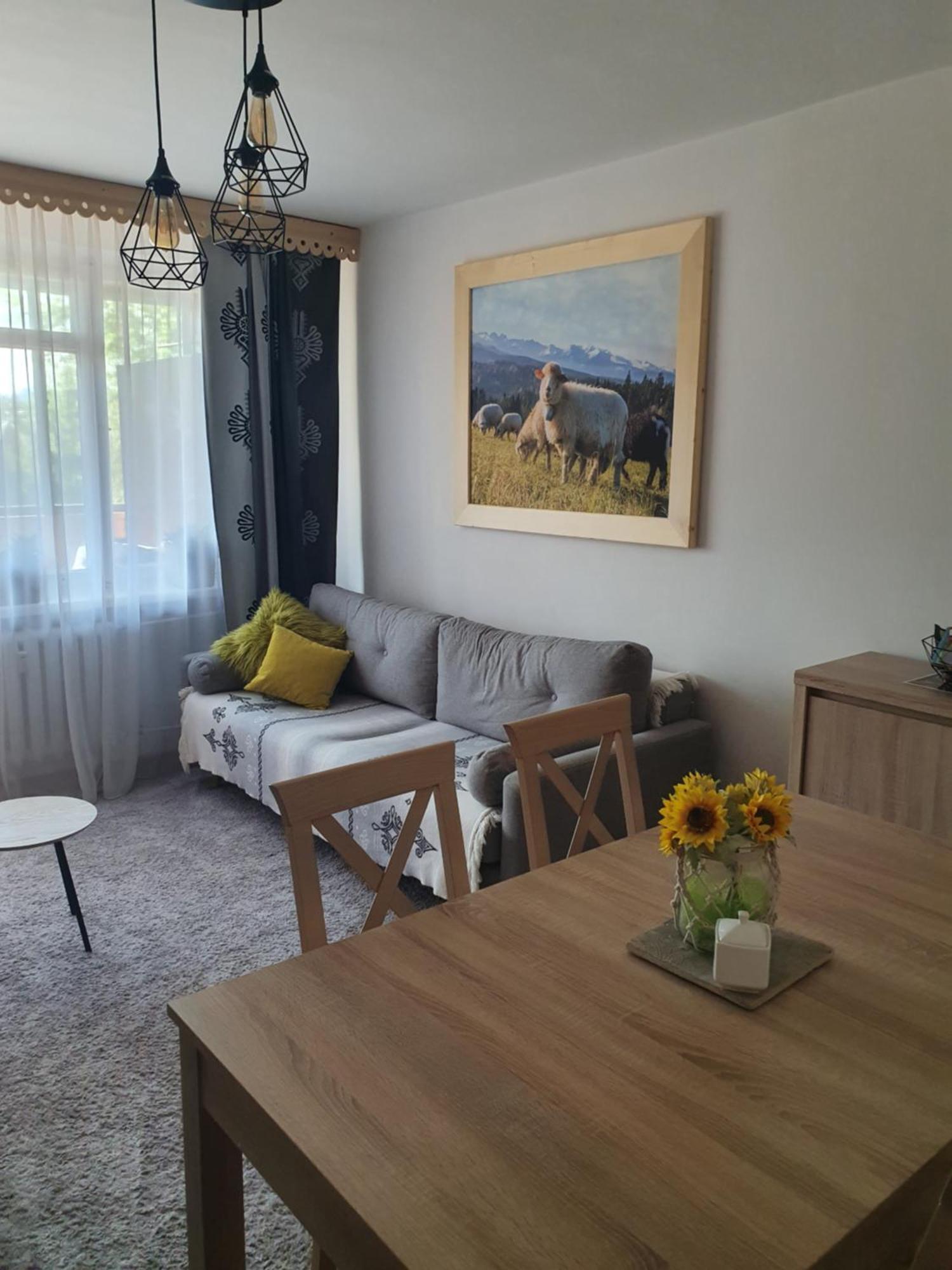 Apartament Regionalny Centrum Zakopane Oda fotoğraf
